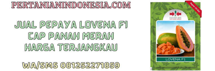 jual,murah,terjangkau,toko pertanian terdekat,pertanian indonesia